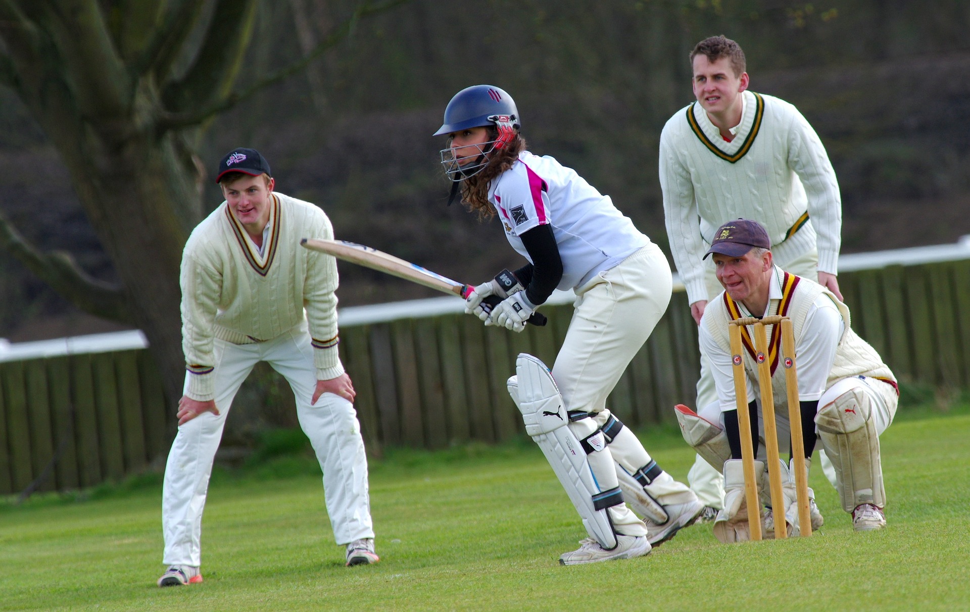 Cricket 724615 1920