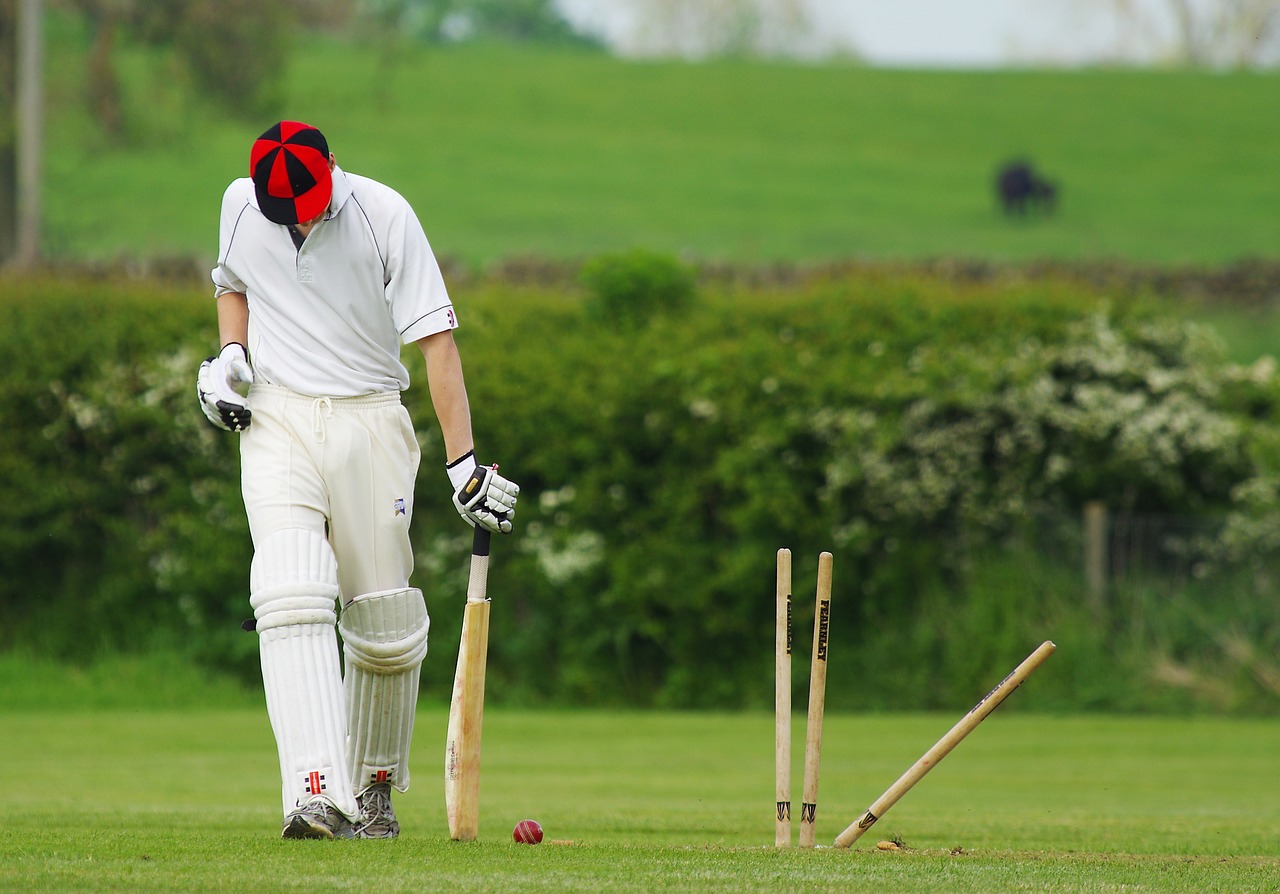 Cricket 724616 1280