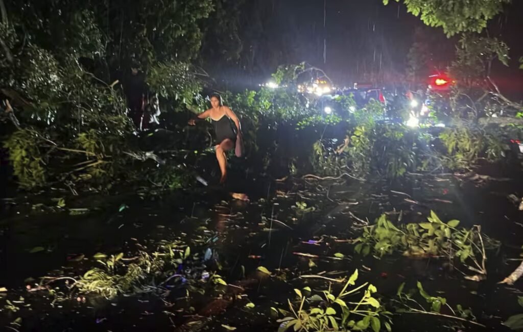 Árbol caído sobre una vía tras las tormentas que afectaron el suministro eléctrico en Córdoba y Sucre