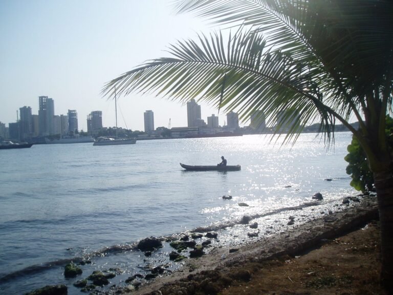 Vista general de la bahía de Cartagena