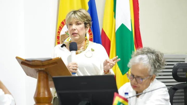 Una funcionaria del Distrito interviene desde el atril durante una sesión del Concejo de Cartagena